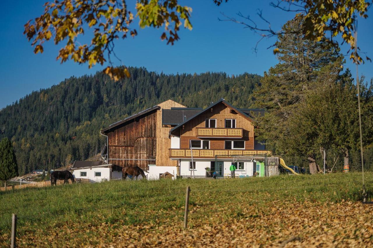 Deluxe Appartement Blasbichlerhof Ramsau am Dachstein Eksteriør billede